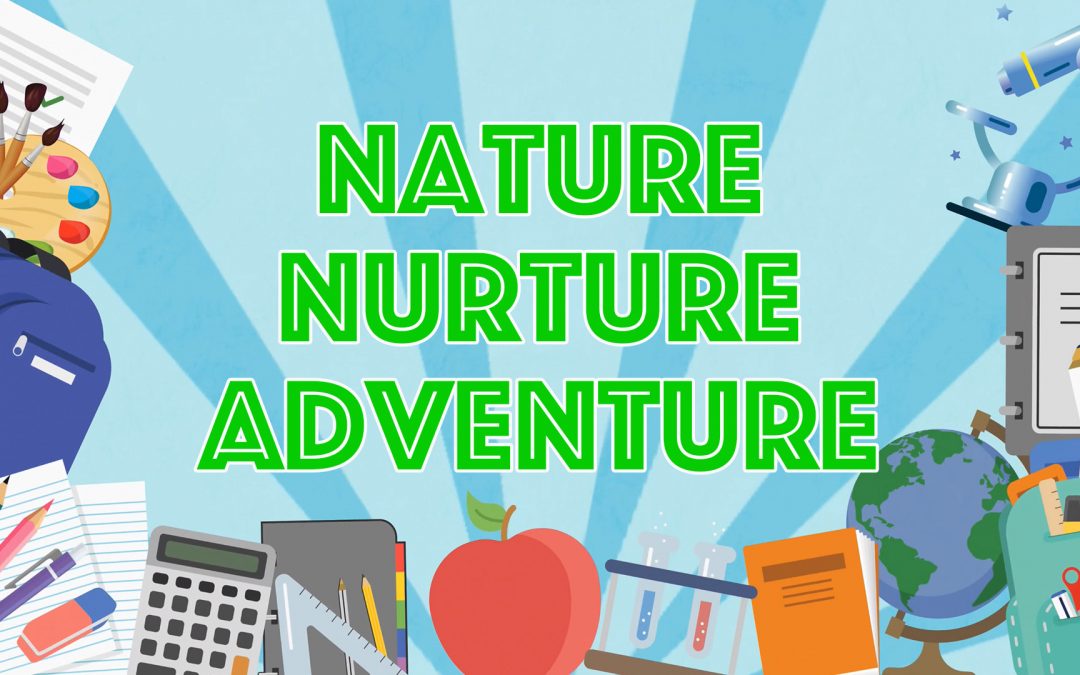 New Class, New Term, New Adventures!