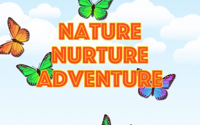 Soaring into the sunshine