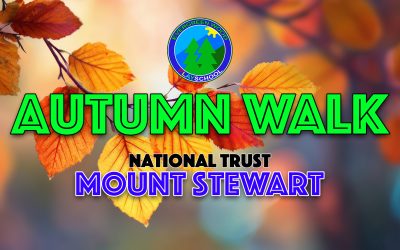 Autumn Walk at Mount Stewart